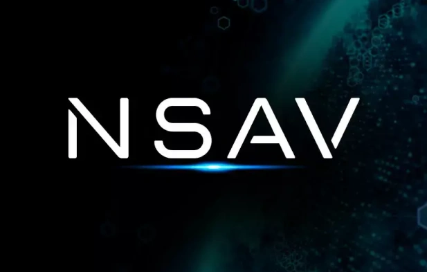 NSAV Holdings Inc. project preview