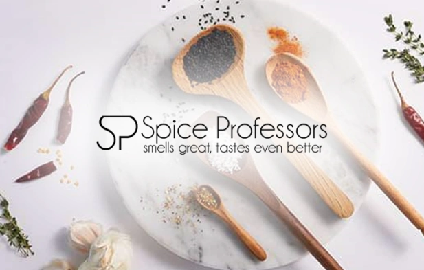 Spice Professors project preview